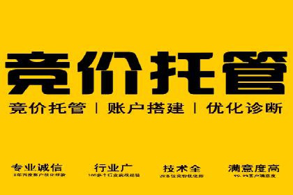 优化SEM推广效果：成功案例启示